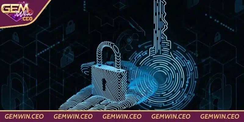 Người chơi yên tâm cá cược